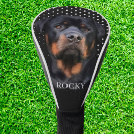   Rottweiler White