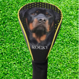   Rottweiler Yellow
