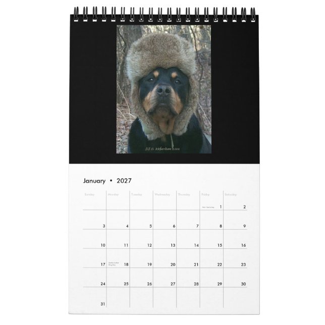 Rottweilers 2014 pelo calendário de Diane (Jan 2027)