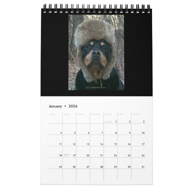 Rottweilers 2014 pelo calendário de Diane (Jan 2026)