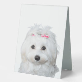 Rótulo branco maltês de doce