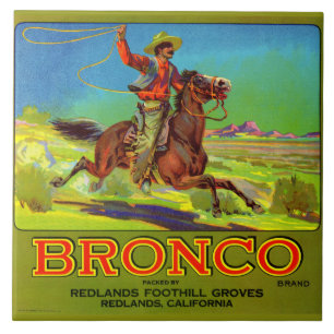 Rótulo da caixa de fruta do Bronco 1920