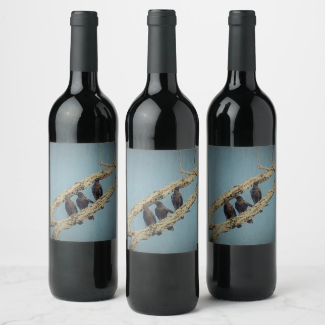 Rótulo De Garrafa De Cerveja 3 Rótulo do Vinho da Coroa (Garrafas)