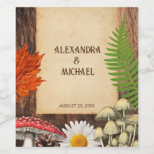 A Natureza Da Floresta Russa Encantadora Inspirou-