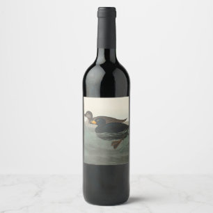 Rótulo De Garrafa De Cerveja Audubon American Scoter Duck Classic