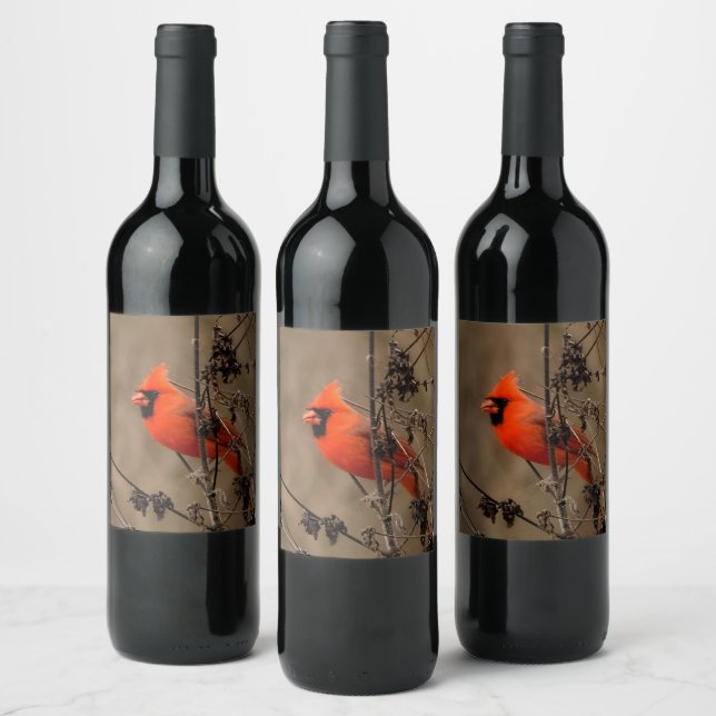 Rótulo De Garrafa De Cerveja Belo Cardinal do Norte (Garrafas)