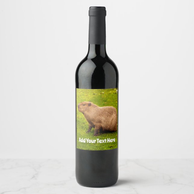 Rótulo De Garrafa De Cerveja Capivara (Frente)