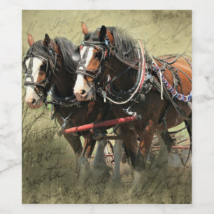 Rótulo De Garrafa De Cerveja Cartão postal Clydesdale com Vintage Weathered