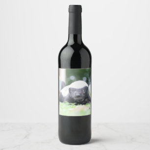 Rótulo De Garrafa De Cerveja Crachá de mel de bebê em fotografia de grama verde