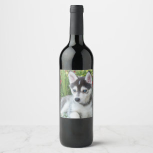 Rótulo De Garrafa De Cerveja Crie Sua Própria Foto Personalizada de Animal de E