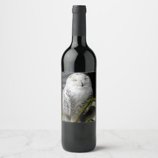 Rótulo De Garrafa De Cerveja Cute Snowy Owl
