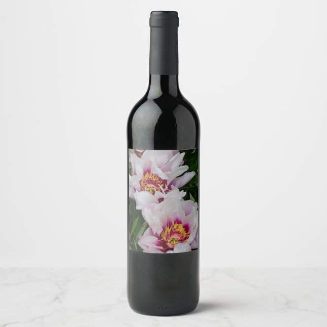 Rótulo De Garrafa De Cerveja Flores de pénia rosa e branca (Frente)