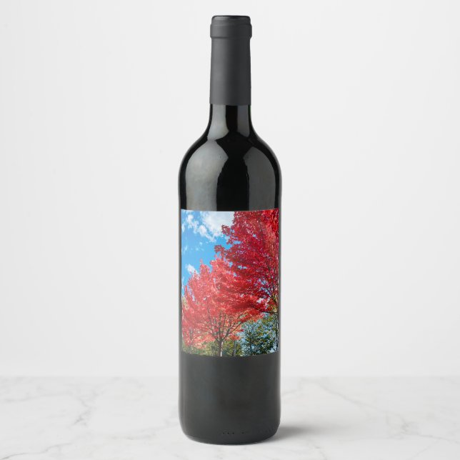 Rótulo De Garrafa De Cerveja Folhas De Árvore Vermelha Brilhante No Outono (Frente)