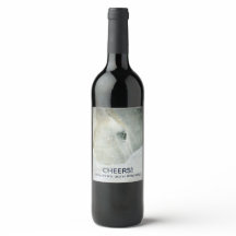 Foto de um Belo Aniversário de Cavalo Branco