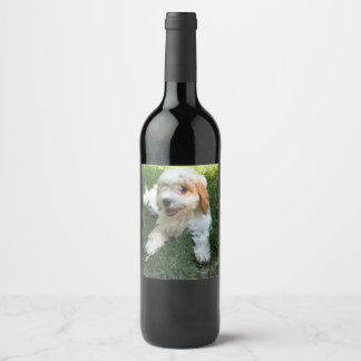 Rótulo De Garrafa De Cerveja Foto personalizada de Cavachon, cão