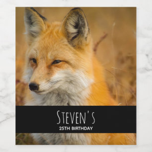 Rótulo De Garrafa De Cerveja Fotografia natural de Fox Vermelha Cura