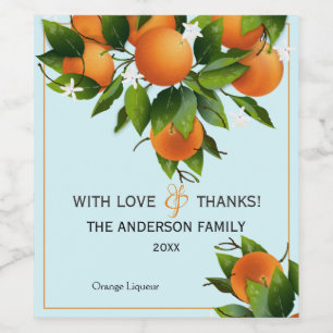 Rótulo De Garrafa De Cerveja Fruta de Citros Laranja