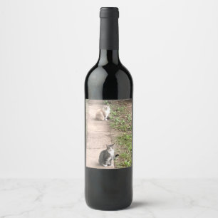 Rótulo De Garrafa De Cerveja Gato