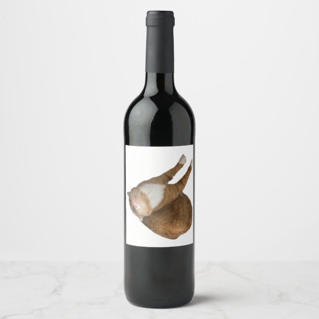 Rótulo De Garrafa De Cerveja Gato de Sol de Cabeça para Baixo (Frente)