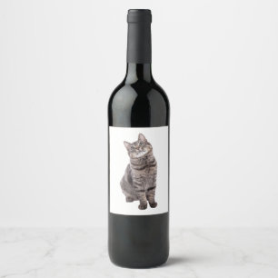 Rótulo De Garrafa De Cerveja Gato de Tabby