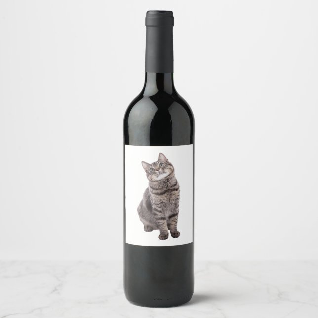 Rótulo De Garrafa De Cerveja Gato de Tabby (Frente)