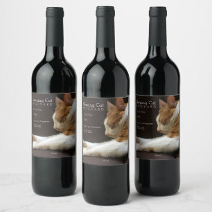 Rótulo De Garrafa De Cerveja Gato dormindo no sofá