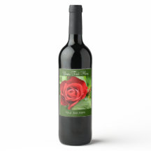 Grande Flor de Rosa Vermelha Linda