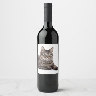 Rótulo De Garrafa De Cerveja Gray Tabby Cat