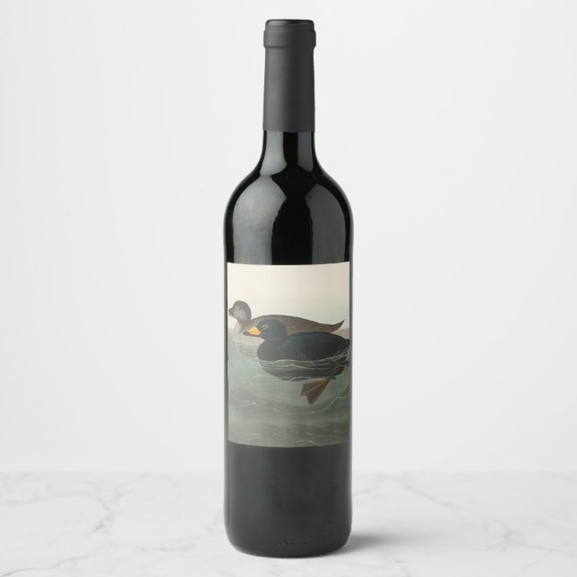 Rótulo De Garrafa De Cerveja Impressão do Pato-negro-de-veludo de Audubon: Pato (Frente)