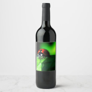Rótulo De Garrafa De Cerveja Ladybug