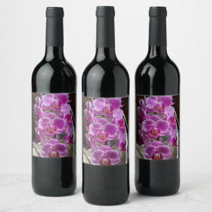 Rótulo De Garrafa De Cerveja Mini Phalaenopsis Sogo Vivien Purple Orchid Flower