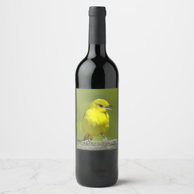 Rótulo De Garrafa De Cerveja Orchard Oriole - Fotografia original (Frente)