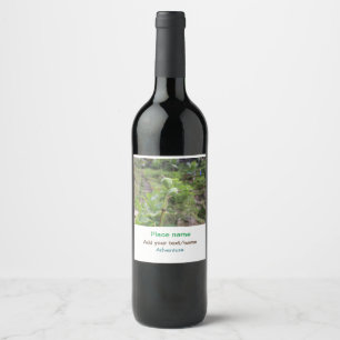 Rótulo De Garrafa De Cerveja Plantas naturais fotografia água de praia viagem