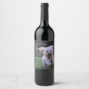 Rótulo De Garrafa De Cerveja por isso você bebe cachorro-voador