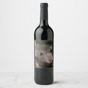 Rótulo De Garrafa De Cerveja Rato Curioso