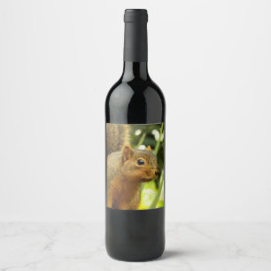 Rótulo De Garrafa De Cerveja Retrato de um Esquilo Fotografia Animal