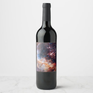 Rótulo De Garrafa De Cerveja Rótulo do vinho espacial