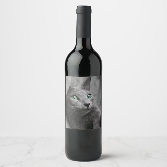 Rótulo De Garrafa De Cerveja Russo-azul-gato-com olhos verdes (Frente)