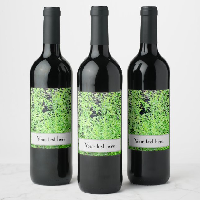 Rótulo De Garrafa De Cerveja Samambaia da Floresta Verde (Garrafas)