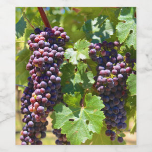 Rótulo De Garrafa De Cerveja Uvas