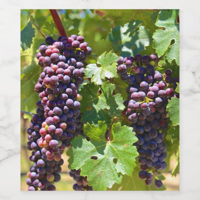 Rótulo De Garrafa De Cerveja Uvas (Rótulo Único)