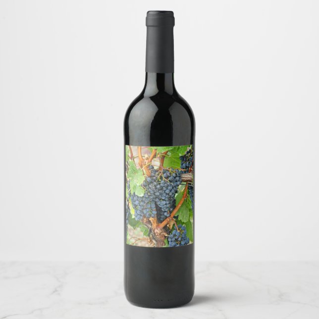 Rótulo De Garrafa De Cerveja Uvas roxas (Frente)