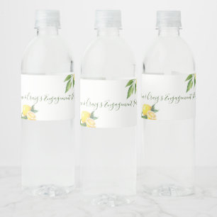 Rótulo De Garrafa De Vinho Água de Limão Aquarela Ocasião Especial