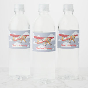 Rótulo De Garrafa De Vinho Aniversário do avião do vintage