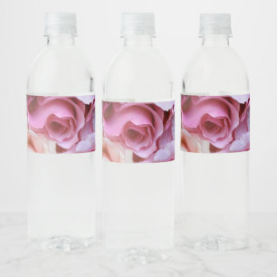 Rótulo De Garrafa De Vinho Aproximação de rosas rosa