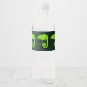 Rótulo De Garrafa De Vinho Camaleão verde fofo