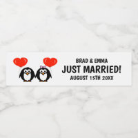 Casal de casamento de pinguins de recém-casados