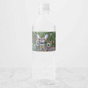 Rótulo De Garrafa De Vinho Cervos que consultam após o Frost