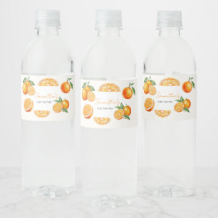 Rótulo De Garrafa De Vinho Chá de Bebê Laranja Little Cutie