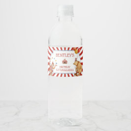 Rótulo De Garrafa De Vinho Festa de aniversário de Carnaval